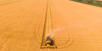 brasil-deve-bater-recorde-de-producao-de-soja-em-2026