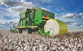 brasil-deve-liderar-exportacoes-de-soja-acucar-e-algodao-ate-2035