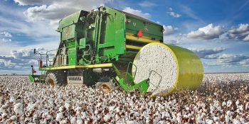 brasil-deve-liderar-exportacoes-de-soja-acucar-e-algodao-ate-2035