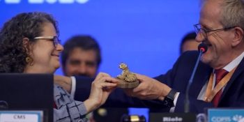 brasil-encerra-cop15-em-campo-grande-e-prioriza-o-pantanal