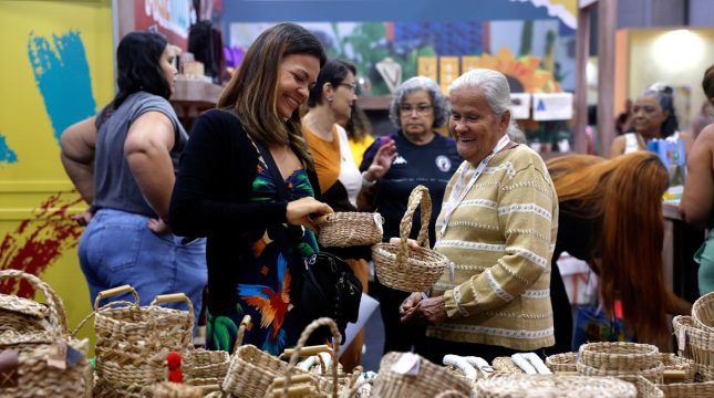 brasil-ja-tem-milhoes-de-empreendedores-da-economia-prateada