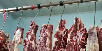 brasil-supera-os-eua-e-torna-se-o-maior-produtor-de-carne-bovina