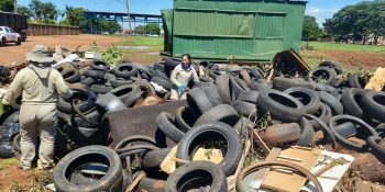 campo-grande-combate-aedes-aegypti-meu-bairro-limpo