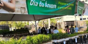 campo-grande-distribuira-10-mil-mudas-frutiferas