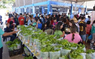 campo-grande-faz-mutirao-dia-22-agosto