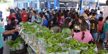 campo-grande-faz-mutirao-dia-22-agosto