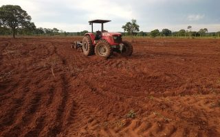 campo-grande-fortalece-trabalho-produtores-rurais