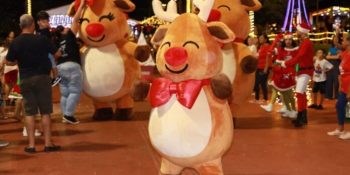 campo-grande-prepara-natal-solidario-2026