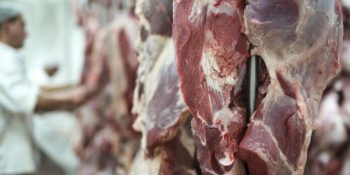 carne-bovina-destaque-exportacoes-ms