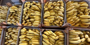 ceasa-ms-confira-os-precos-da-semana-banana-fica-mais-cara