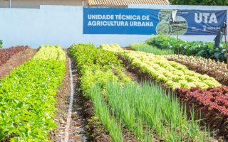 ceasa-ms-fac-unem-forcas-fome-campo-grande