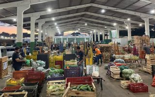 ceasa-ms-orienta-agricultores-familiares