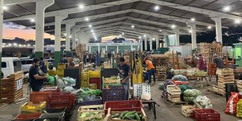 ceasa-ms-orienta-agricultores-familiares