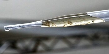 chikungunya-avanca-numero-mortos-aumenta-dourados