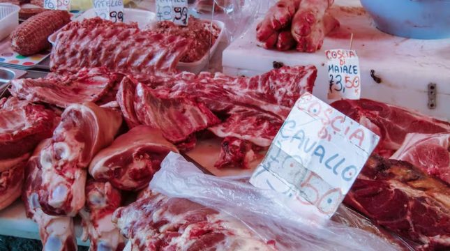 china-adia-nova-investigacao-sobre-carne-bovina