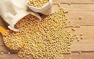 china-enfrenta-precos-altos-em-novas-compras-de-soja-dos-eua