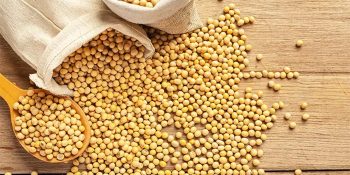 china-enfrenta-precos-altos-em-novas-compras-de-soja-dos-eua