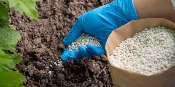 china-restringe-exportacoes-de-fertilizantes