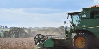 china-se-consolida-como-maior-parceiro-comercial-do-agro-de-ms