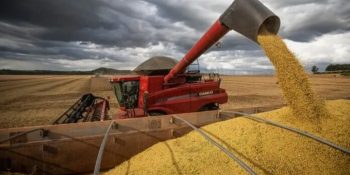 colheita-da-soja-em-ms-deve-atingir-177-milhoes-de-toneladas