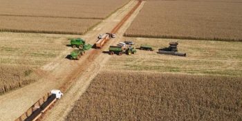 colheita-do-milho-2a-safra-chega-a-166-milhao-de-hectares-em-ms