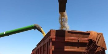 colheita-safra-soja-ms-avanca-reta-final