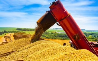 conab-revisa-para-baixo-estimativa-para-a-safra-de-graos