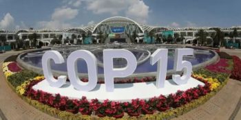 conferencia-global-comeca-campo-grande-segunda