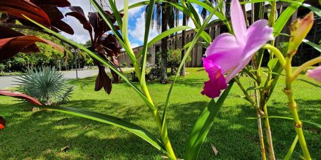 confira-agenda-alems-primeira-semana-marco