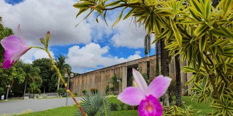 confira-agenda-alems-segunda-semana-abril