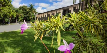 confira-agenda-semana-15-21-marco-alems