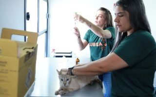 confira-agenda-subea-abril