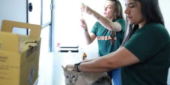 confira-agenda-subea-abril