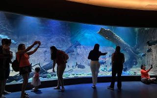 confira-horario-bioparque-pantanal-feriado