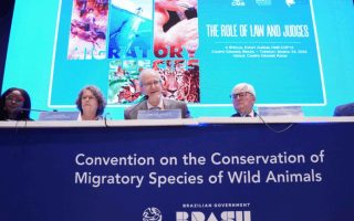 cop15-em-campo-grande-destaca-judiciario-em-especies