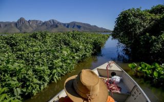 corumba-repudia-declaracao-pesca-esportiva
