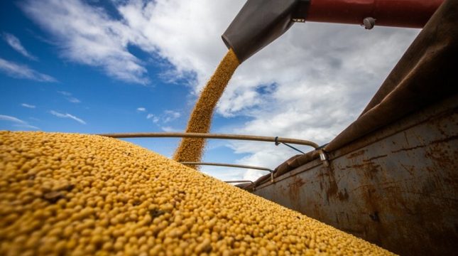 demanda-em-alta-pode-impulsionar-preco-da-soja-no-brasil