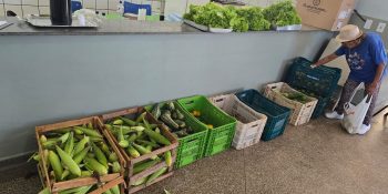 dourados-distribui-alimentos-paa-idosos