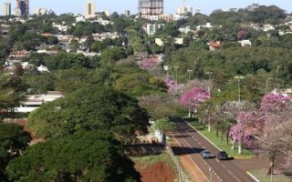 dourados-e-cidades-arborizadas-pais
