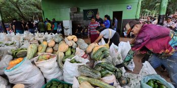 dourados-entrega-alimentos-comunidade-indigena