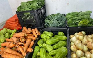 dourados-fortalece-agricultura-familiar-edital-pnae