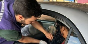 dourados-promove-drive-thru-vacinacao-antirrabica