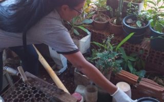 dourados-registra-cinco-mortes-chikungunya