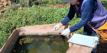 dourados-registra-mortes-chikungunya-reserva-indigena