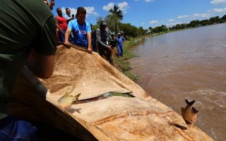 dourados-solta-3-toneladas-peixes-festa-pascoa