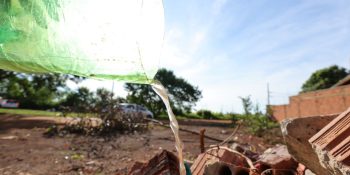 dourados-tem-2204-casos-confirmados-chikungunya