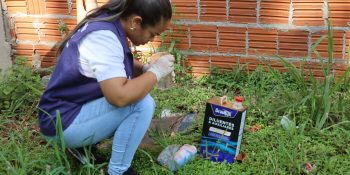 dourados-tem-4802-casos-confirmados-chikungunya
