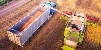 embrapa-territorial-lanca-curso-gratuito-de-logistica-agropecuaria