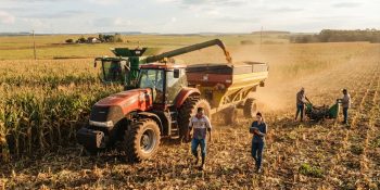 empresas-do-agro-tem-ate-31-de-agosto-para-reduzir-impostos