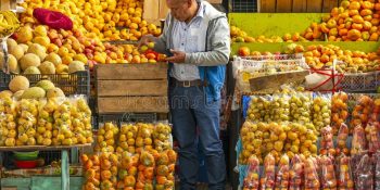 energia-eletrica-e-loterias-puxam-inflacao-ao-consumidor-em-julho